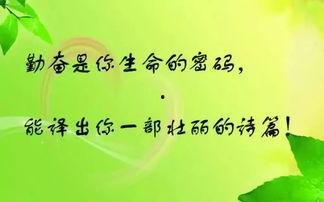 娱乐吃瓜酱名人名言,名人名言中的智慧火花
