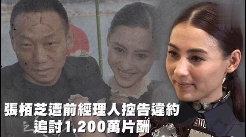 吃瓜娱乐去哪里了,揭秘幕后真相与未来走向